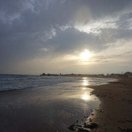 2a60fa98-0288-4578-bd01-164cc6ec9d1c.jpeg
