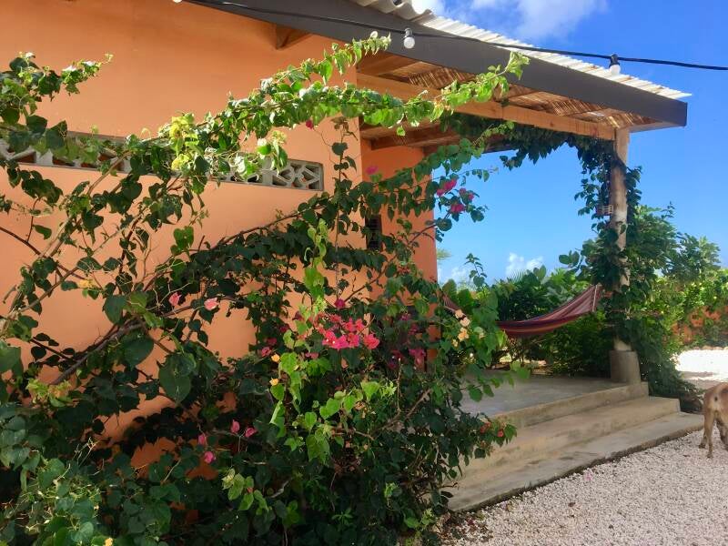 De Octopus Tropical Oasis Eco retreat Curaçao  2 slaapkamer appartement Chuchubi