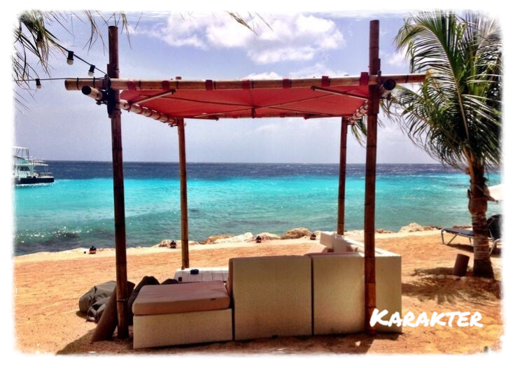 Eco Resort De Octopus Tropical Oasis Boka St. Michiel Karakter