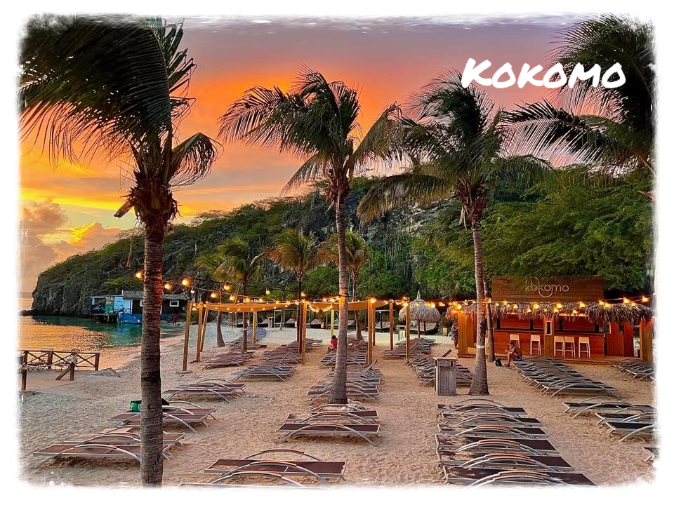 Eco Resort De Octopus Tropical Oasis Boka St. Michiel Kokomo
