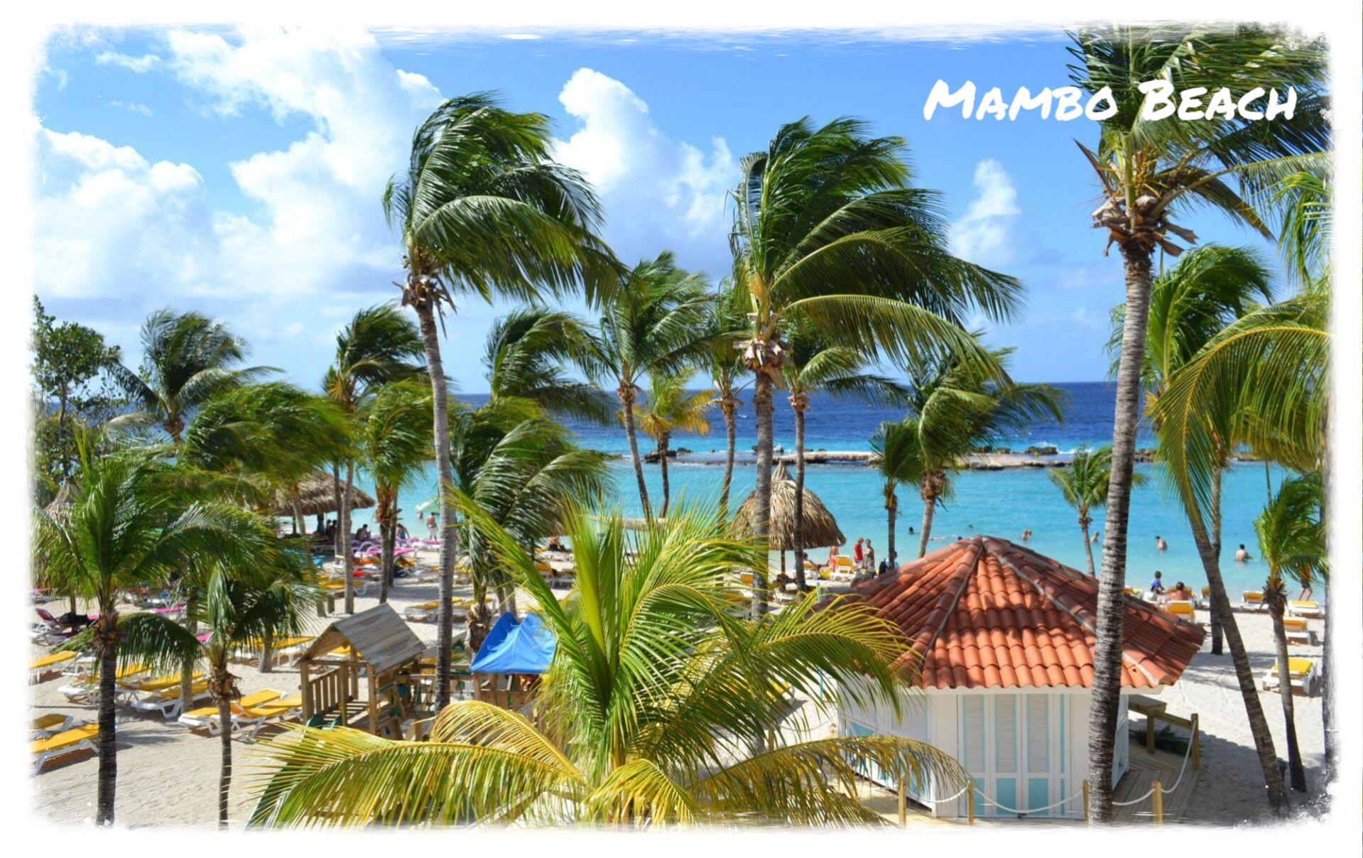 Eco Resort De Octopus Tropical Oasis Boka St. Michiel Mambo Beach