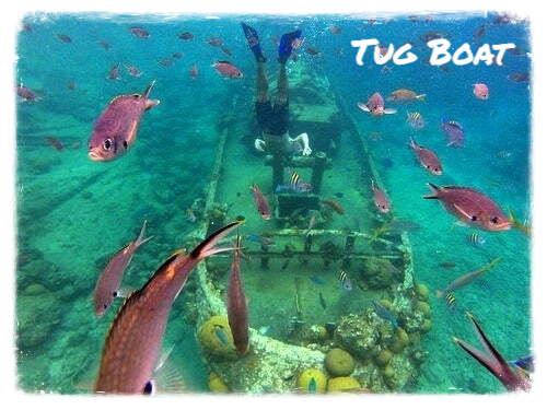 Eco Resort De Octopus Tropical Oasis Boka St. Michiel Tug Boat