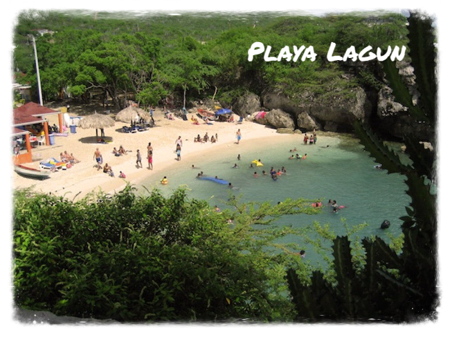 Eco Resort De Octopus Tropical Oasis Boka St. Michiel Playa Lagun