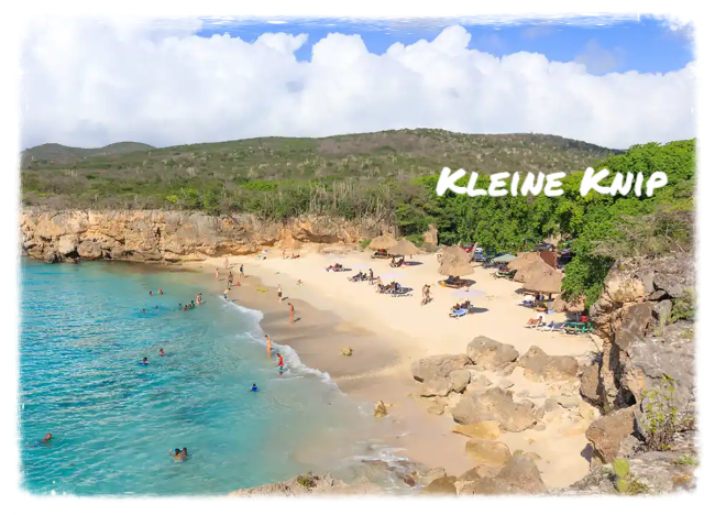 Eco Resort De Octopus Tropical Oasis Boka St. Michiel kleien knip