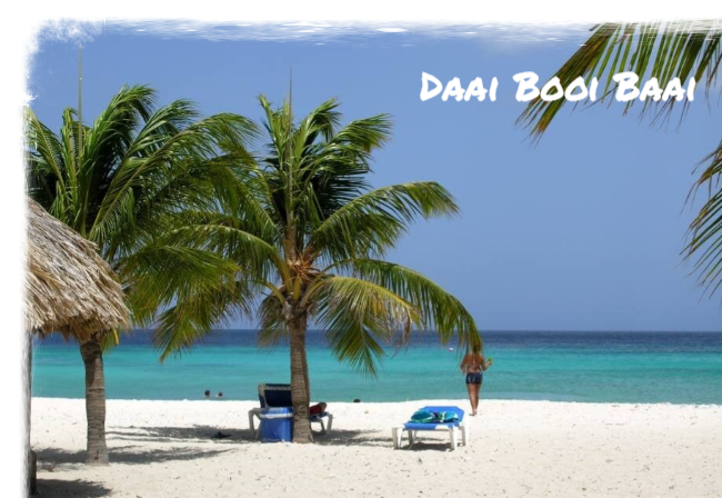 Eco Resort De Octopus Tropical Oasis Boka St. Michiel Daai Booi Baai