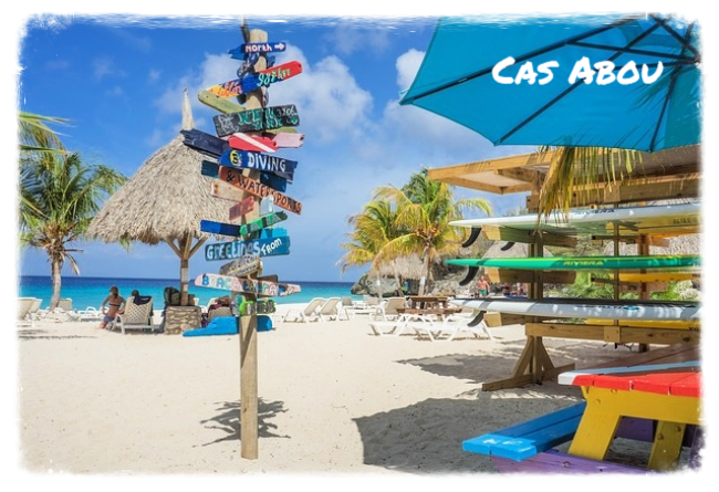 Eco Resort De Octopus Tropical Oasis Boka St. Michiel Cas Abou