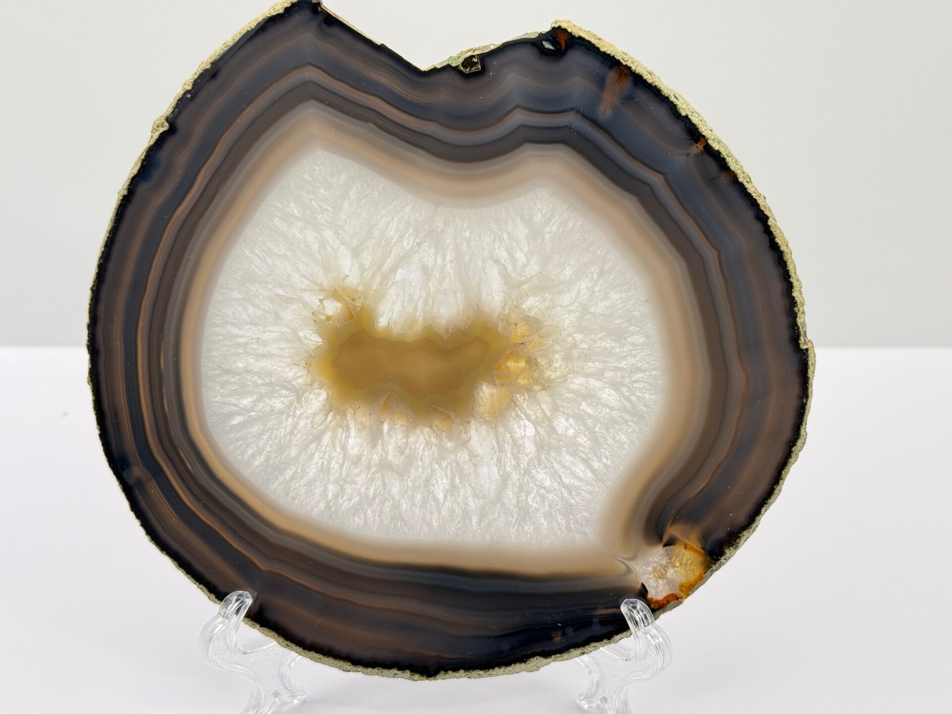 Agaatschijf (3)