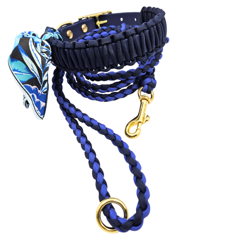 Blue NOVA halsband