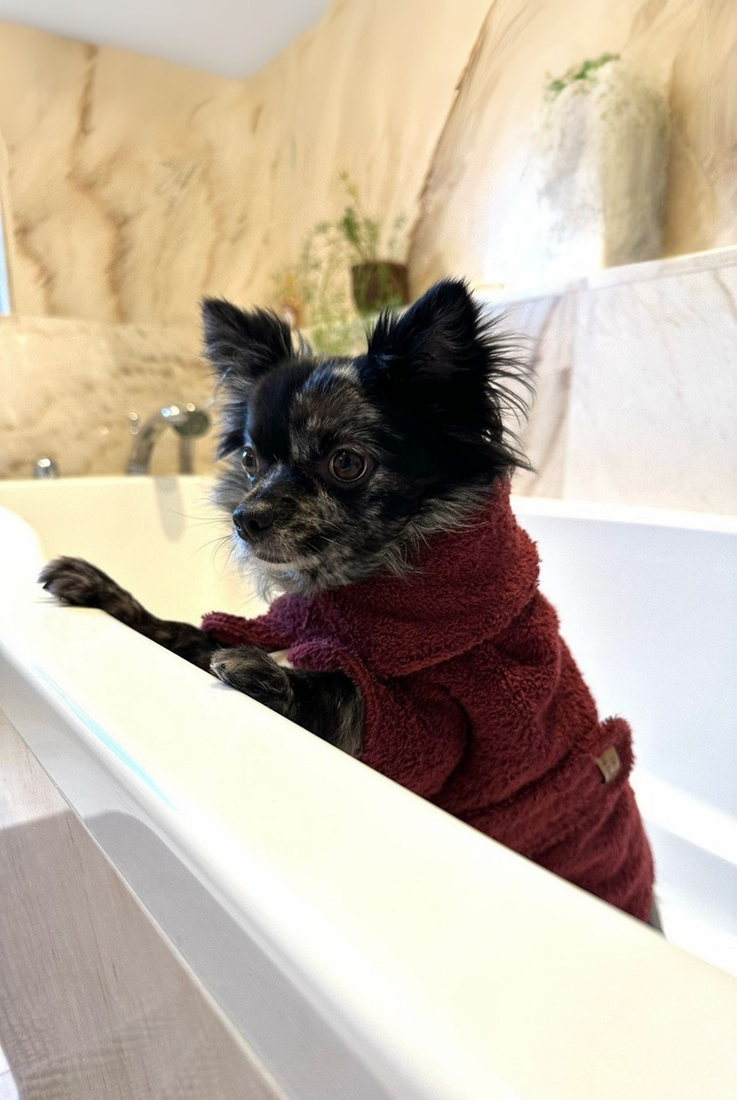 Hondenbadjas Bordeaux - FIFI's DOG FASHION - Fifi's Chill collection