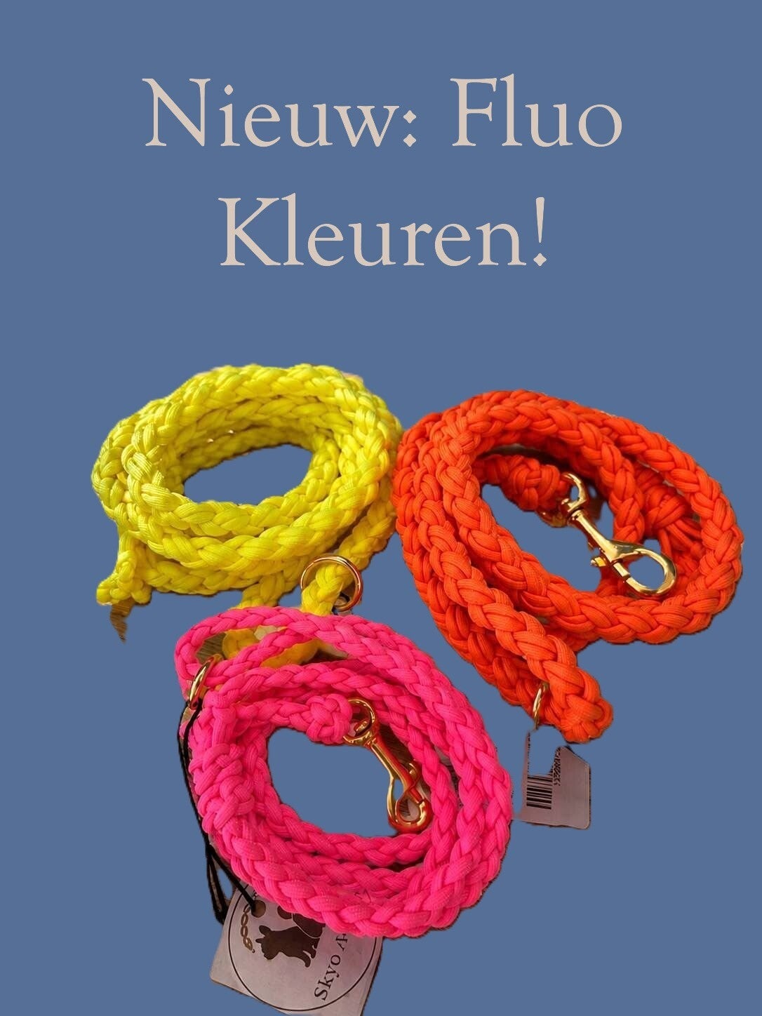 Geel - Leiband TARO (Fluo)