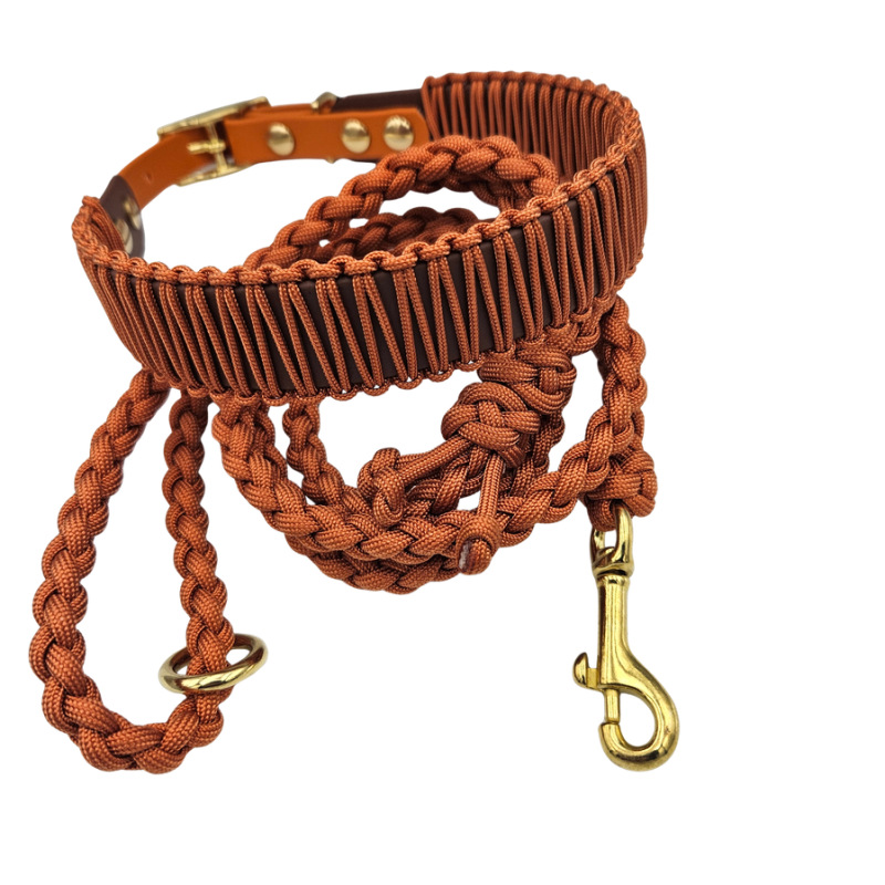 NOX halsband - Squirrel