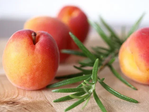 Fondant Abricot romarin