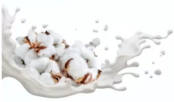 Fondant Lait de coton
