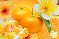 Fondant Monoï Clémentine