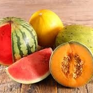 Fondant Pastèque melon