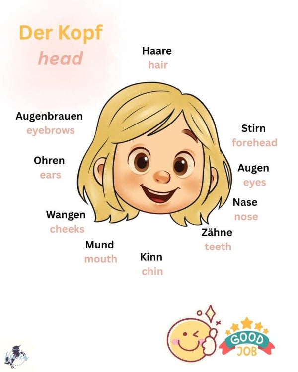 Bügelbild: Unser Kopf_Mädchen_Deutsch/Englisch