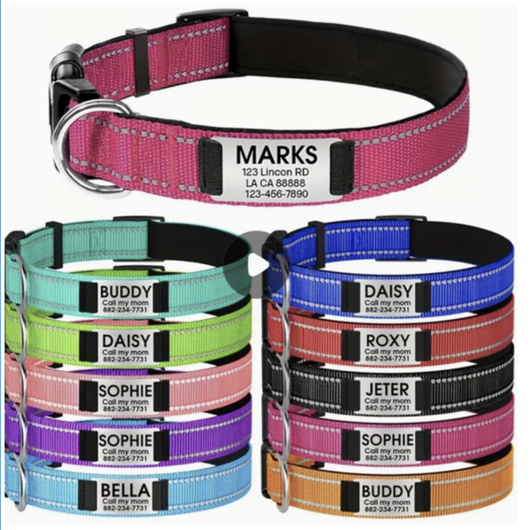 Personalised collars