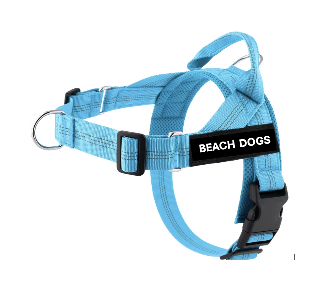 Blue Dog Harness - super easy to fit, not bulky