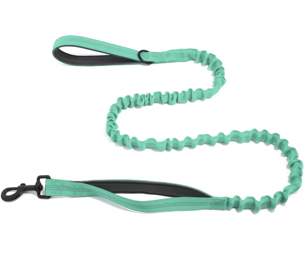 Bungee Leash Mint Green
