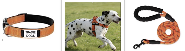Tradie Dog Full kit - Harness, Leash & Collar