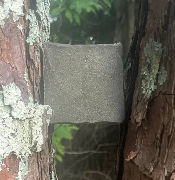 Paw Paw's Pine Tar Soap