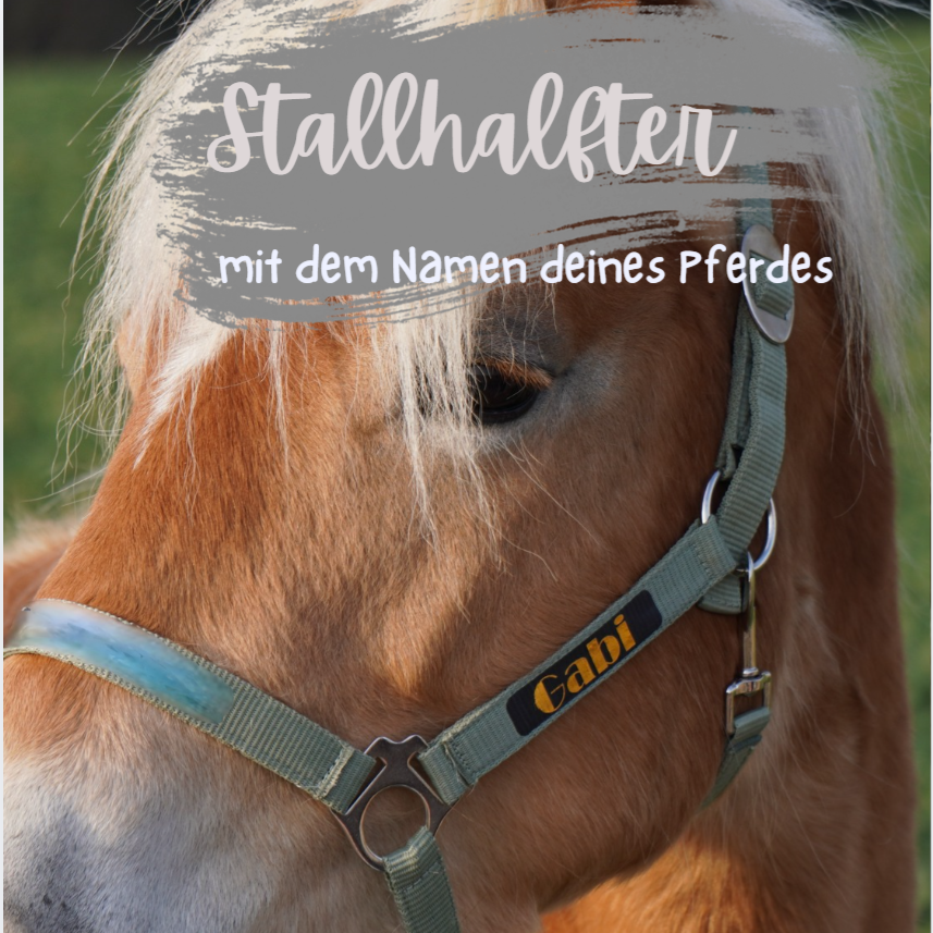 Stallhalfter mit Wunschnamen personalisiert in limettengrün