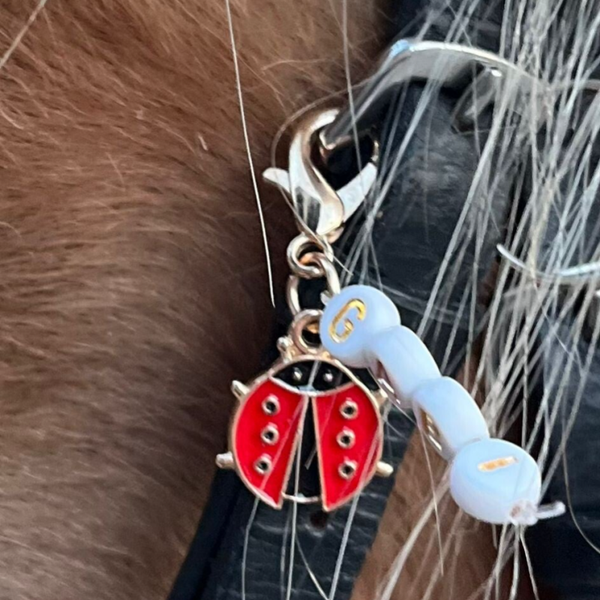 Trensencharm "Lucky" mit Pferdenamen personalisiert