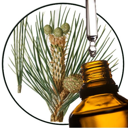 De Rozenkus Atlasceder natuurzuivere etherische olie, 10 ml