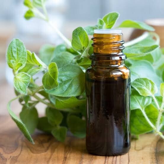 De Rozenkus Oregano BIO natuurzuivere etherische olie, 10 ml