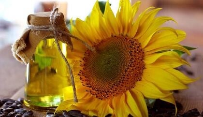 Zonnebloemolie BIO en geraffineerd, 100 ml met pipet