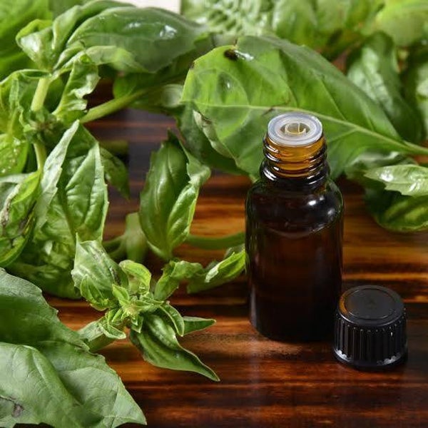 Basilicum ct linalool natuurzuivere etherische olie, 10 ml