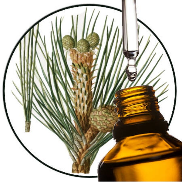 Atlasceder natuurzuivere etherische olie, 10 ml