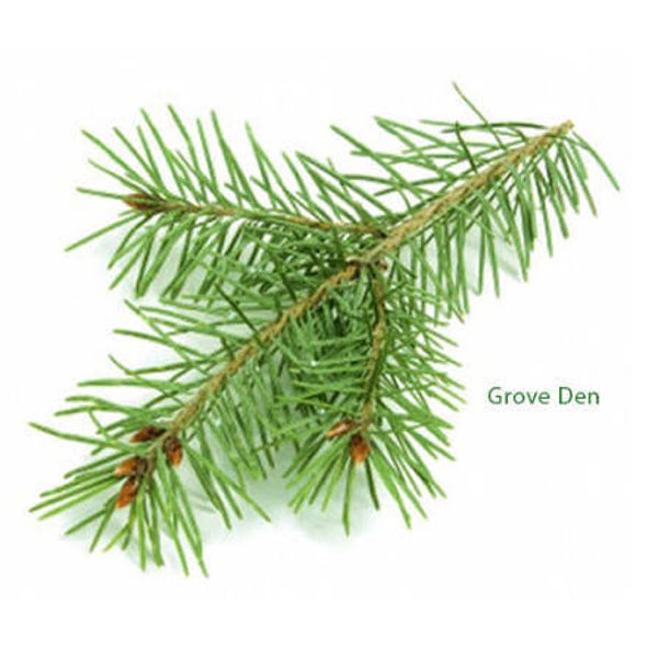 Grove Den natuurzuivere etherische olie, 10 ml