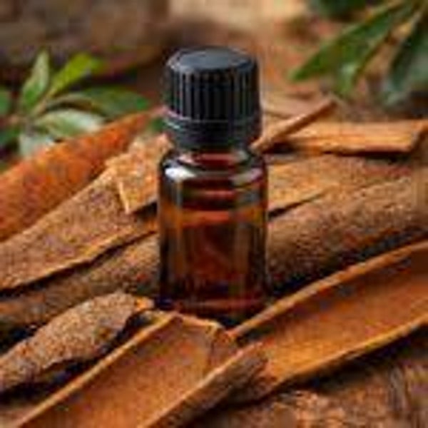 Ho-Hout BIO natuurzuivere etherische olie, 10 ml