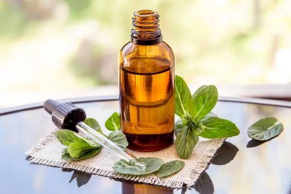 Pepermunt natuurzuivere etherische olie, 10 ml
