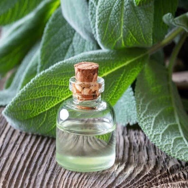Salie natuurzuivere etherische olie, 10 ml