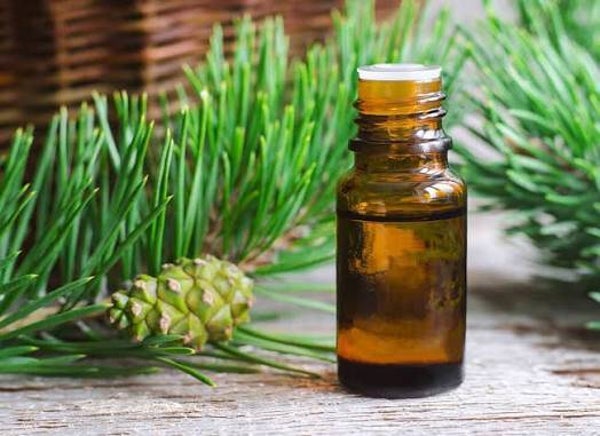 Grove Den natuurzuivere etherische olie, 10 ml