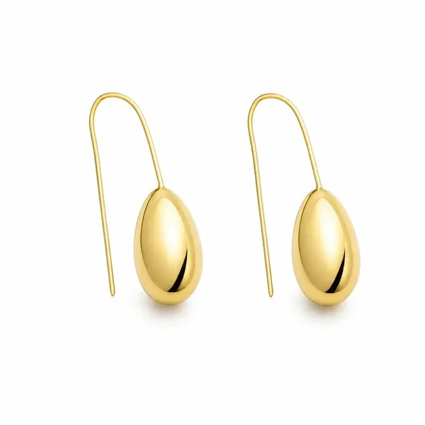 Drop Hanger Oorbellen