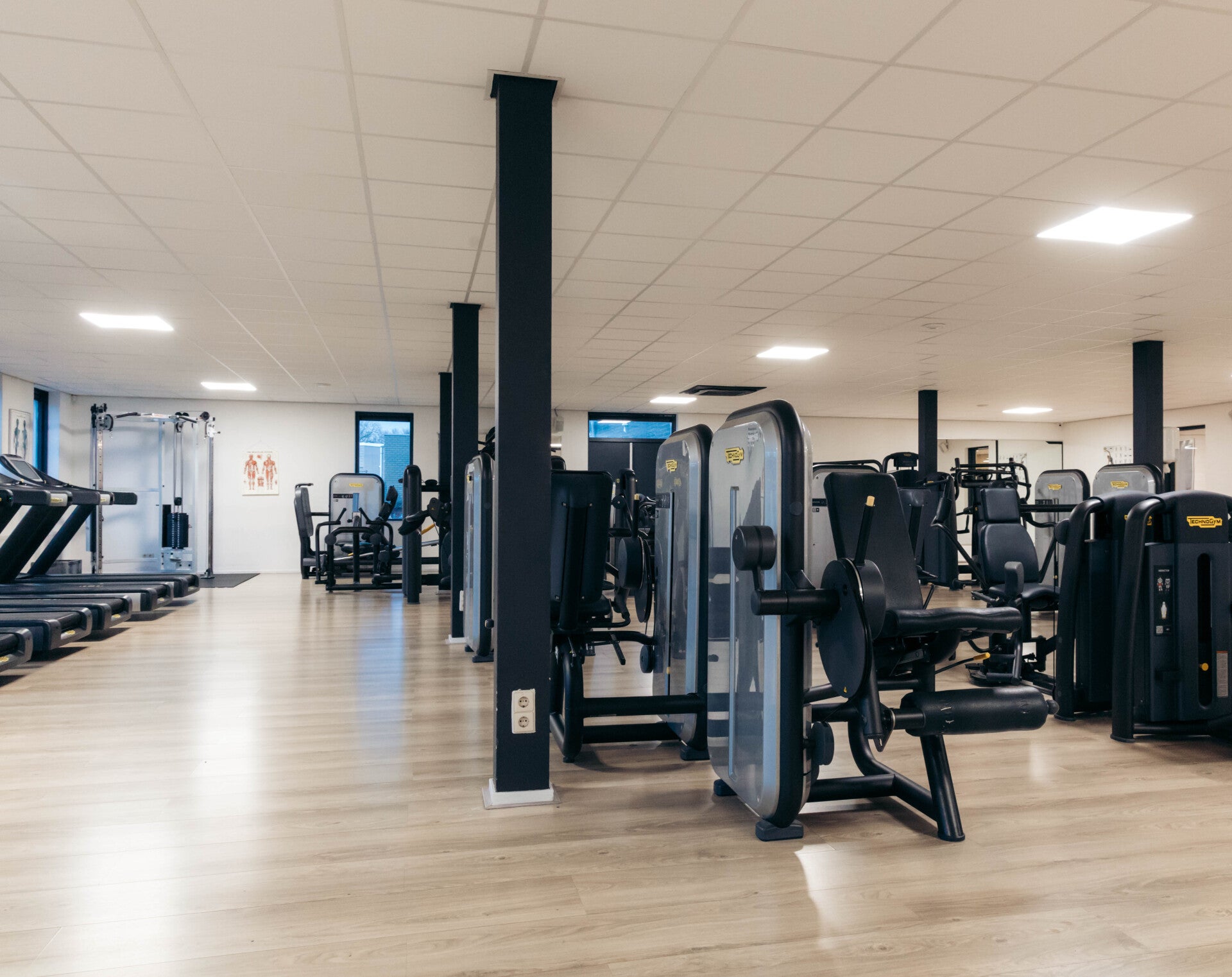 BasicNeck — sportschool-studio in Weidevenne, Wijdewormer — 2