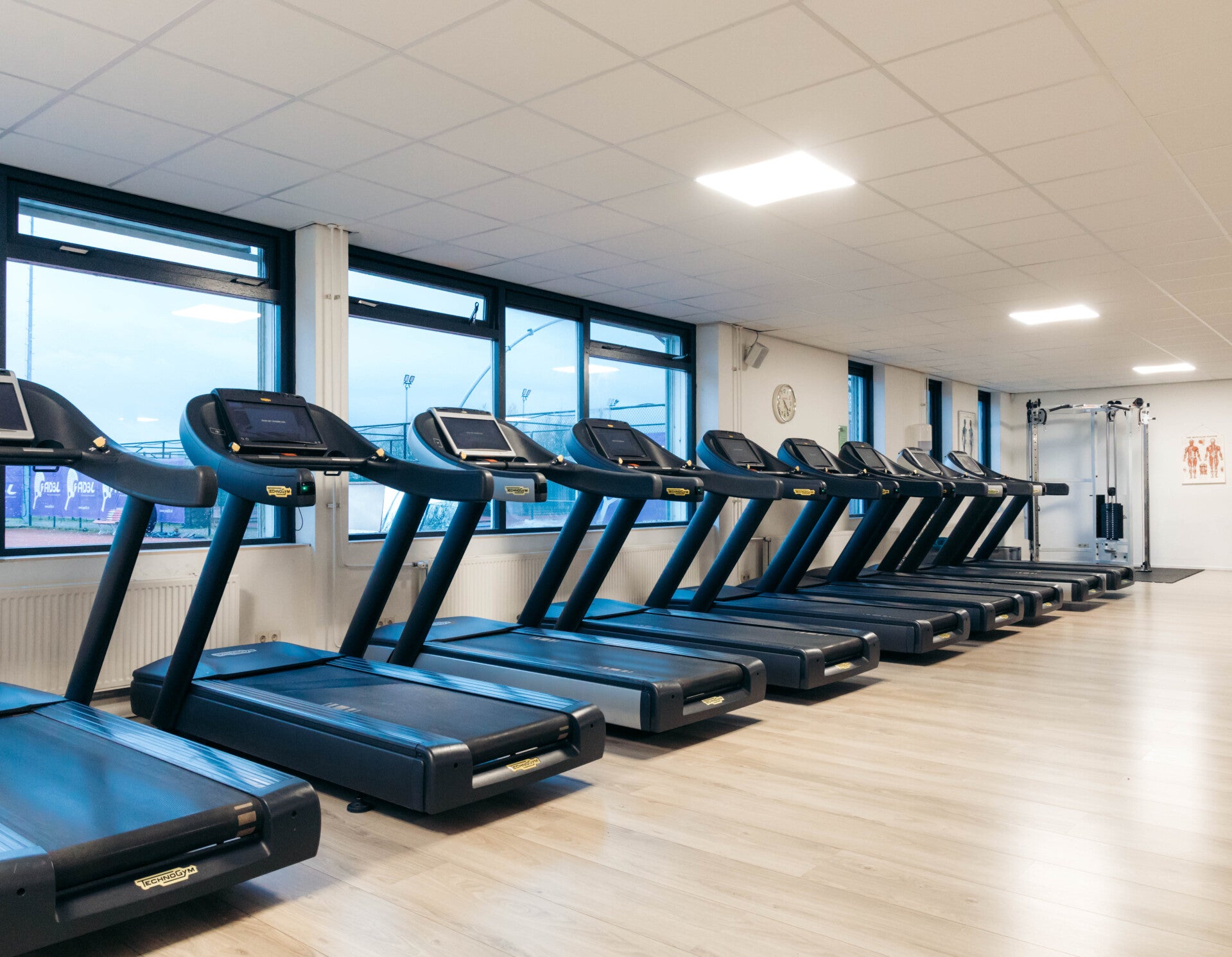 BasicNeck — sportschool-studio in Weidevenne, Wijdewormer — 3