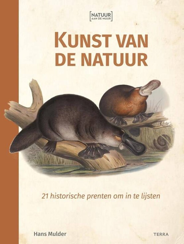 Kunst van de natuur
