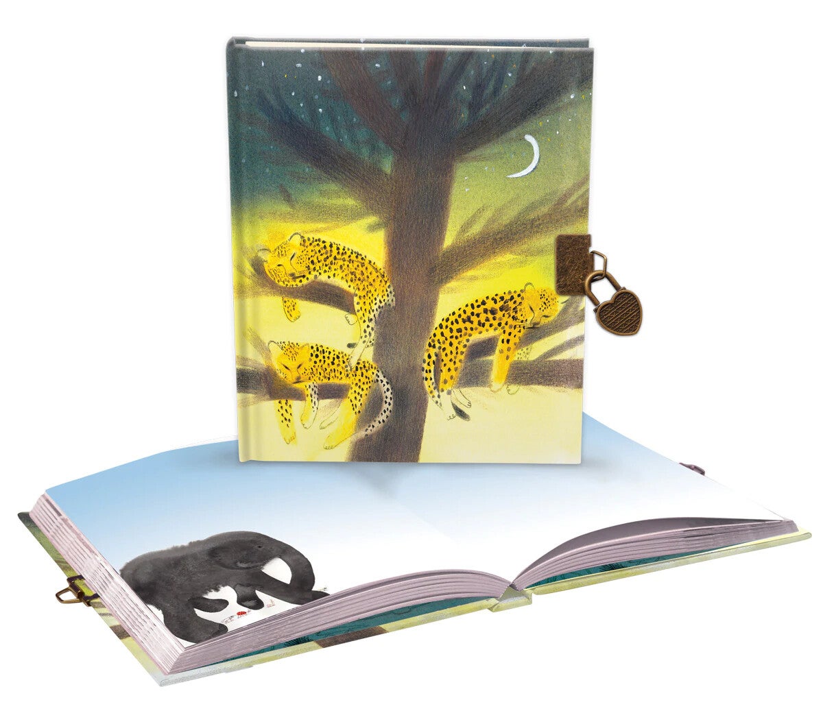 Roger la Borde | Wilderness dagboek met slot