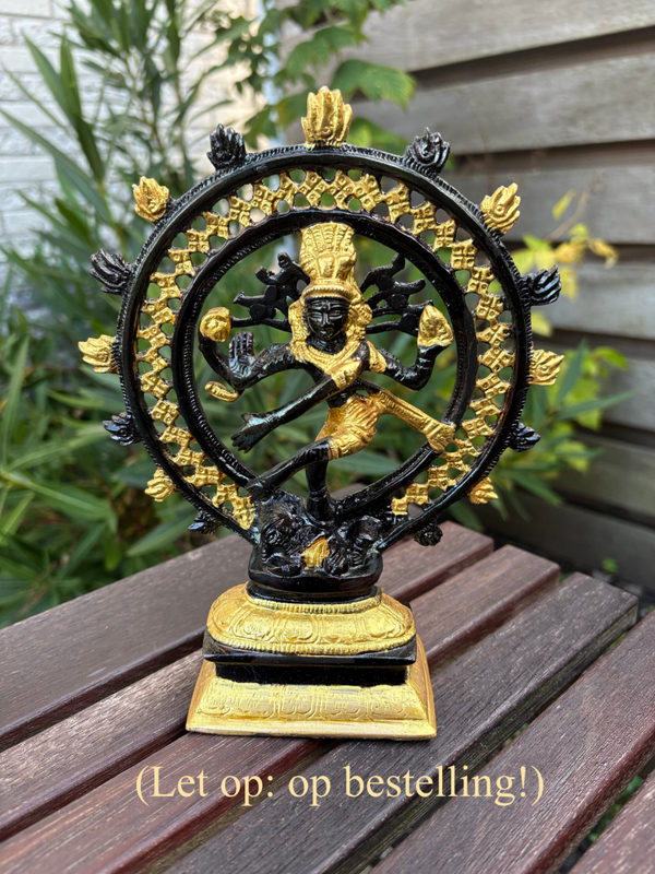 Beeltenis Shiva Nataraj