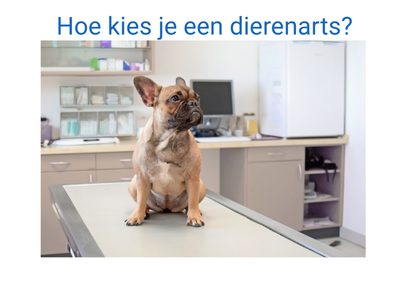 hoe kies is een dierenarts? tips dierenarts vragen tarieven verzekering