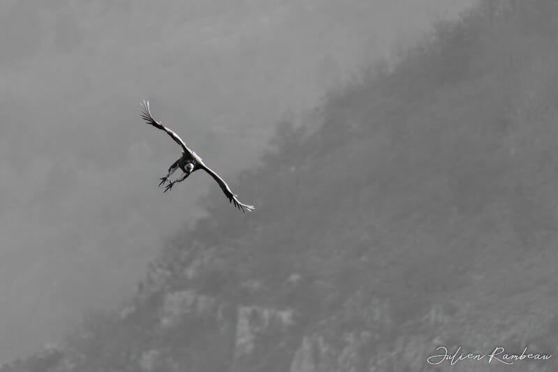 04032023-jra_8809-denoiseai-low-light-standard.jpg
