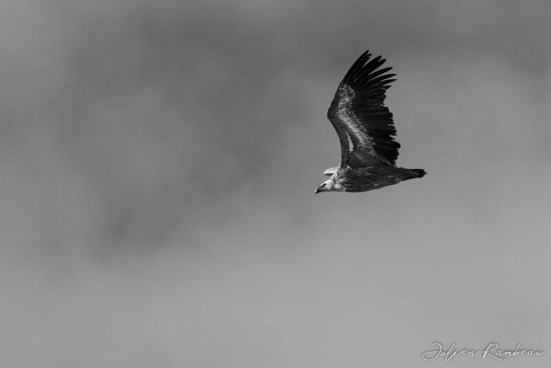 13022022-jra_1839-standard.jpg