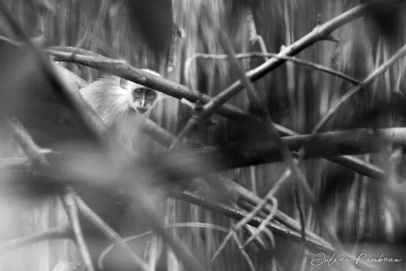 13042022-jra_9510-standard.jpg