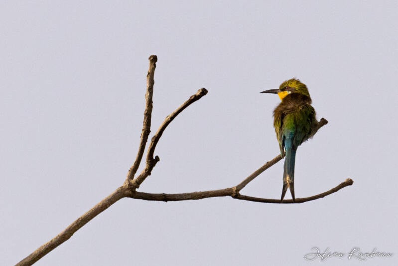 13042022-jra_9577-standard.jpg