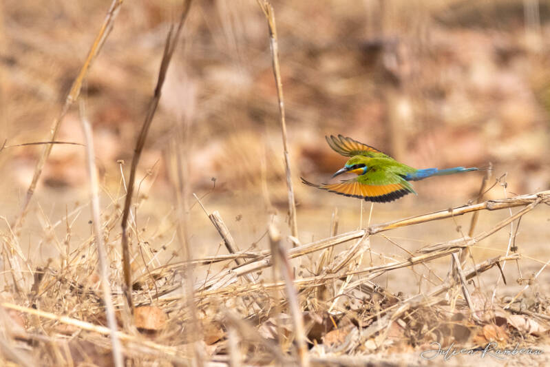 14042022-jra_9923-standard.jpg