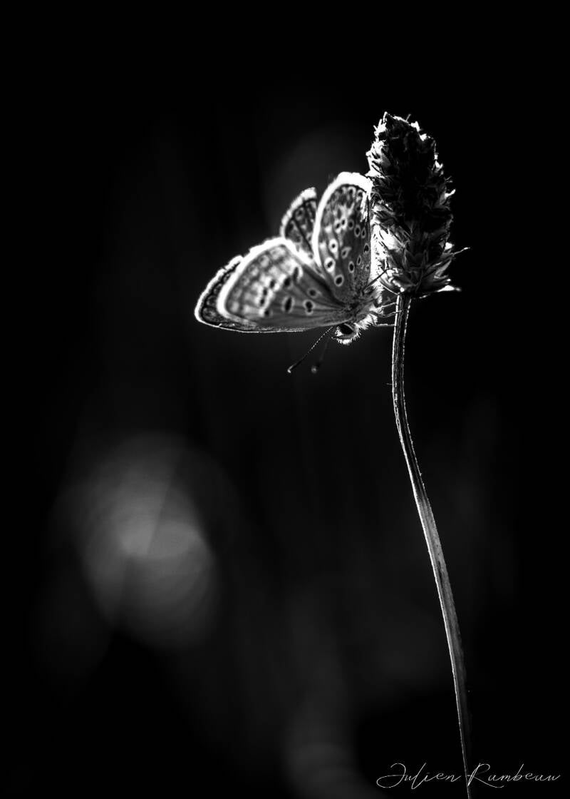 21082022-jra_9107-standard.jpg